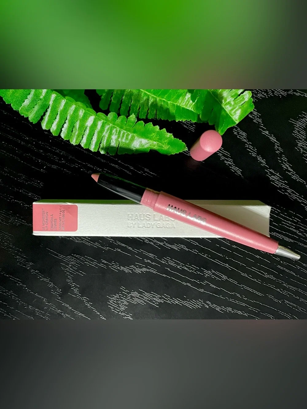 Haus Labs By Lady Gaga Lip Crayon — Light Peony Matte